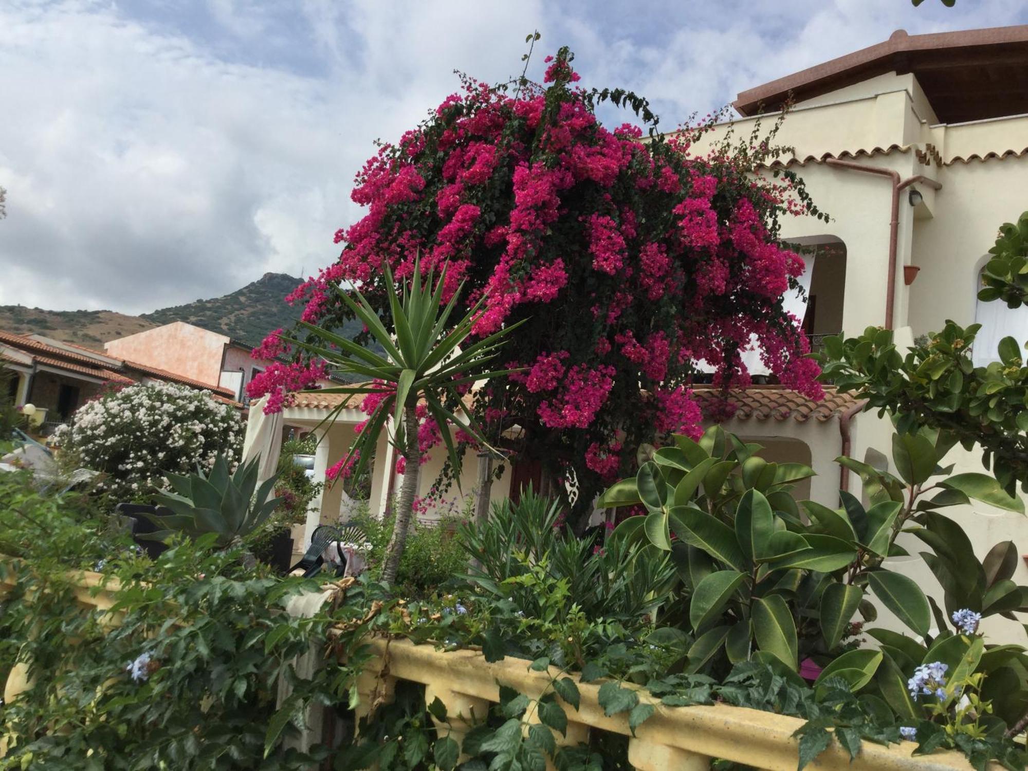 Villa Bouganville วัลเลดอเรีย ภายนอก รูปภาพ