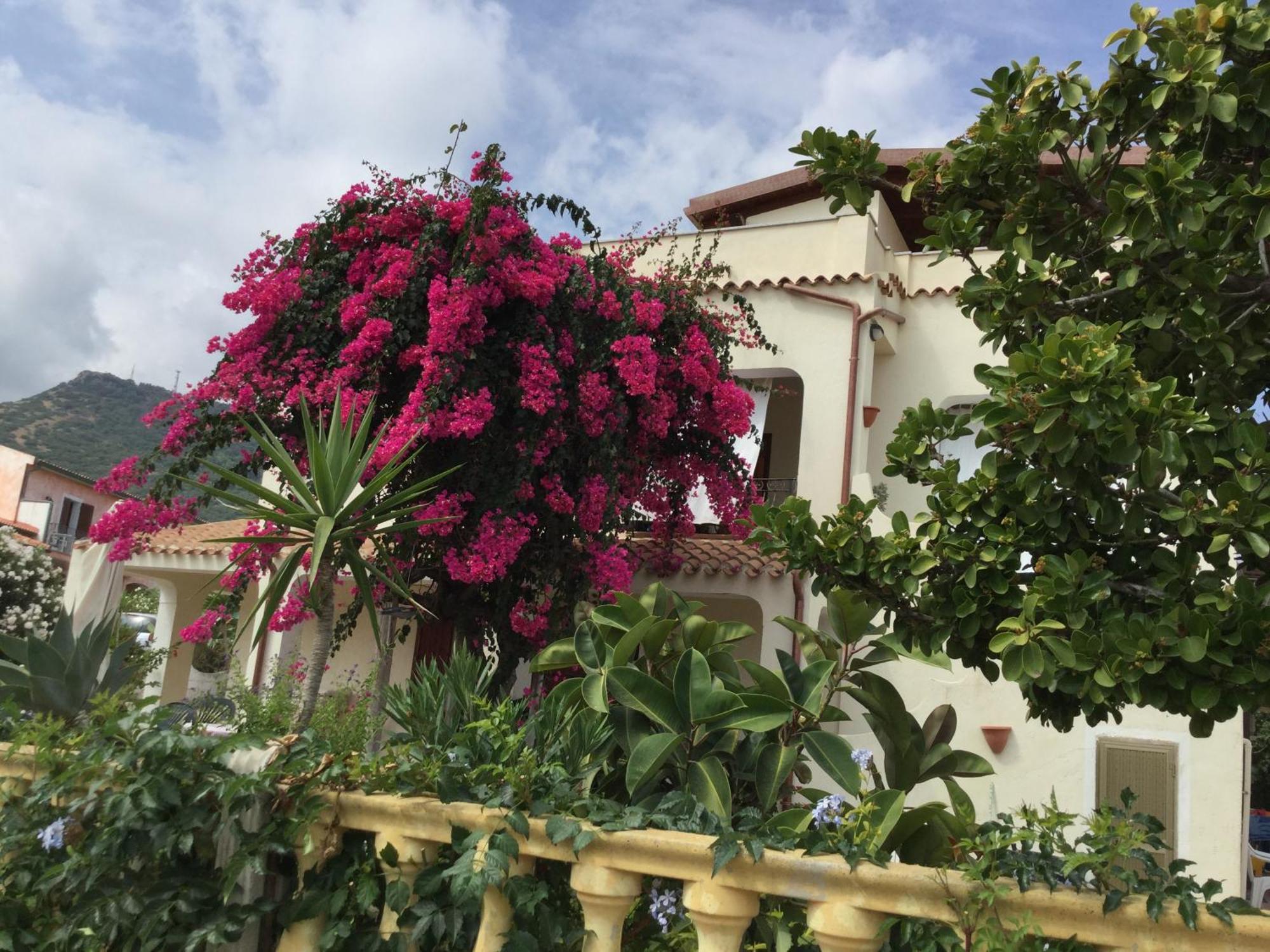Villa Bouganville วัลเลดอเรีย ภายนอก รูปภาพ